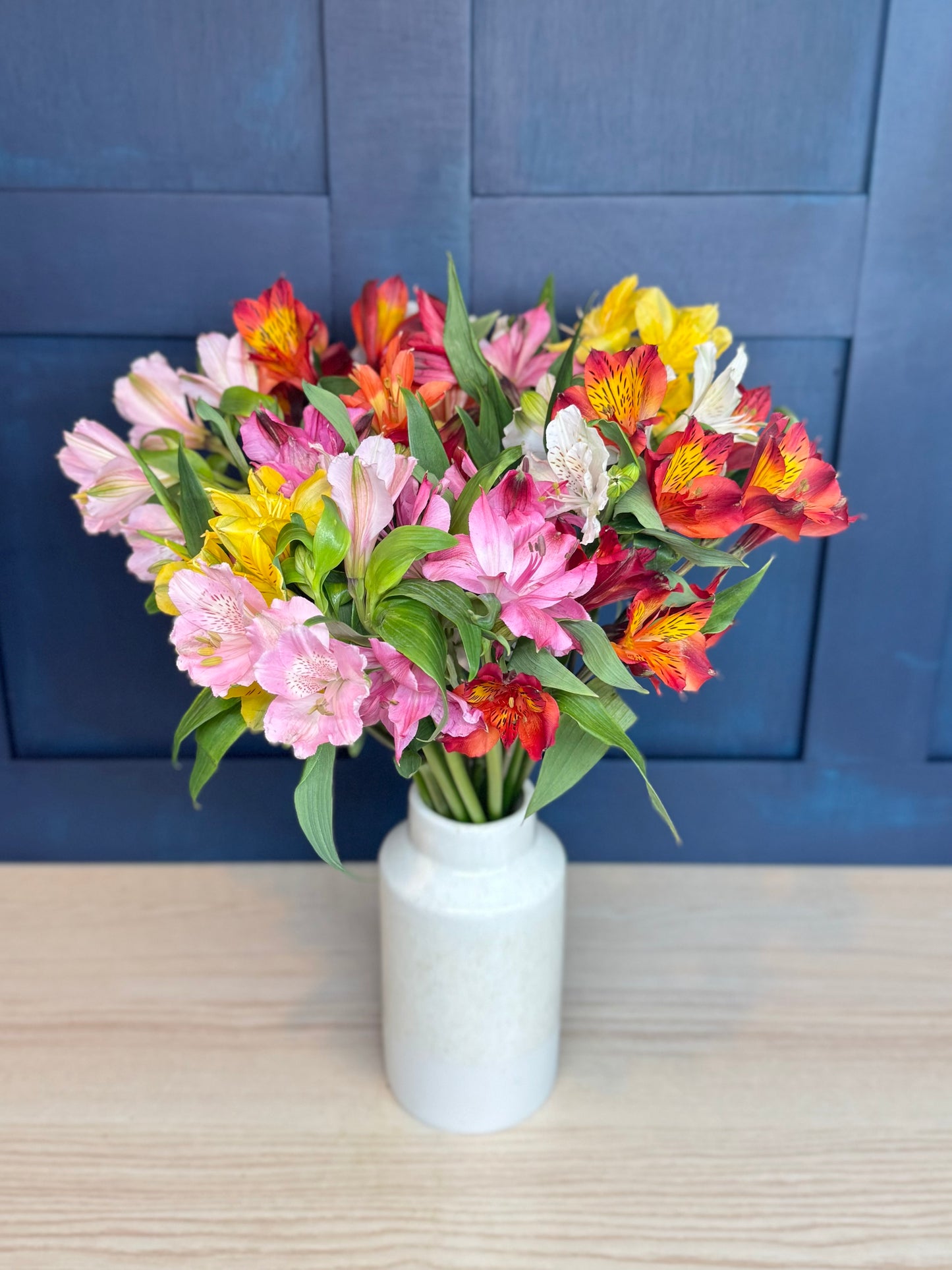 Radiant Alstroemeria (Peruvian Lilies) Bouquet