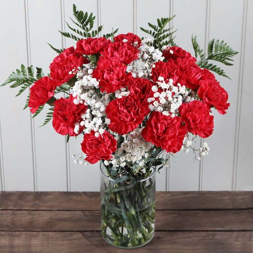 Red_Carnations.jpg