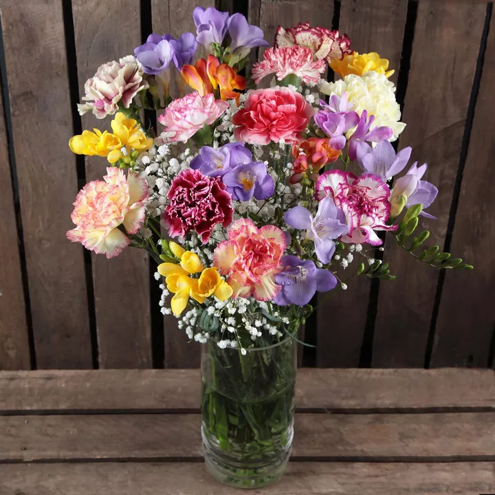 Mixed Carnations and Freesias