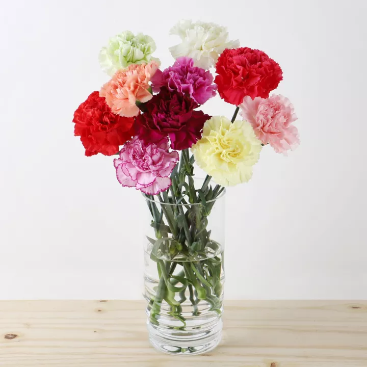 Bargain Rainbow Carnations