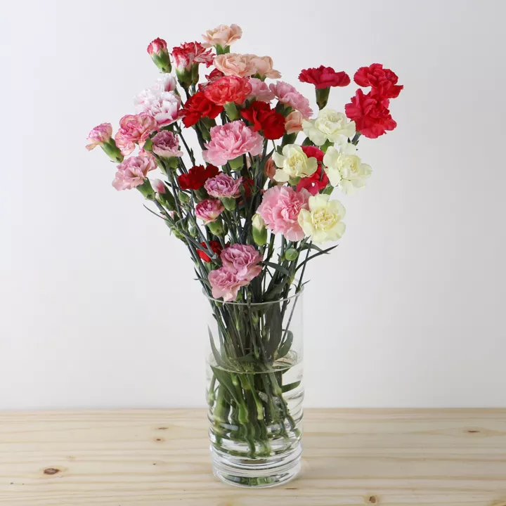 10 Spray Carnations