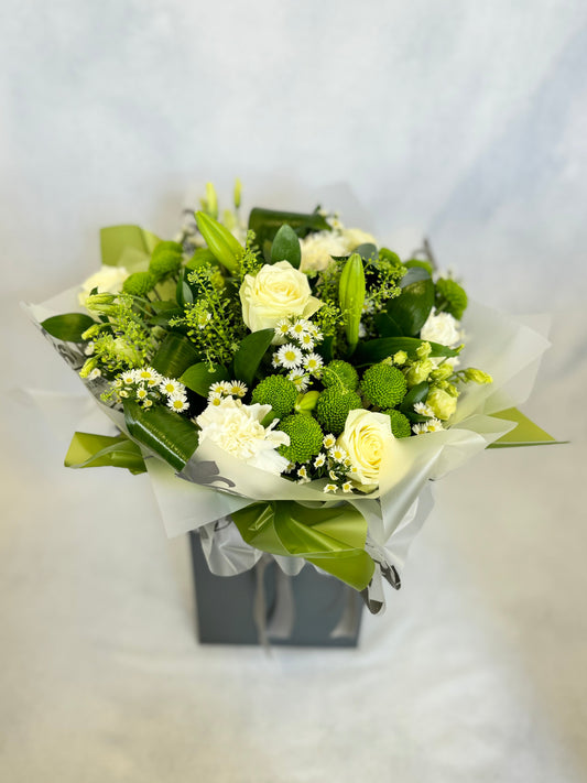 Extra Large Green & White Premium Aqua