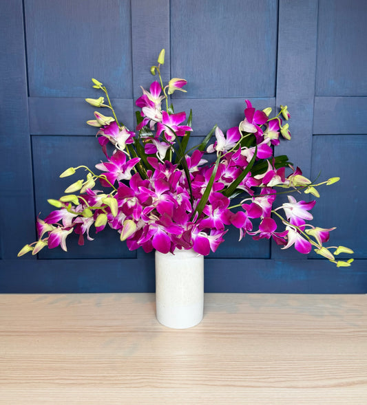 Elegant Purple Orchids