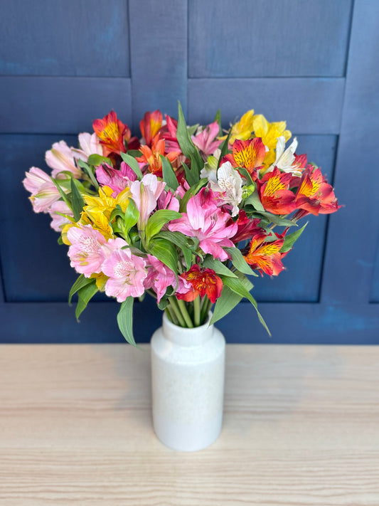 Radiant Alstroemeria (Peruvian Lilies) Bouquet