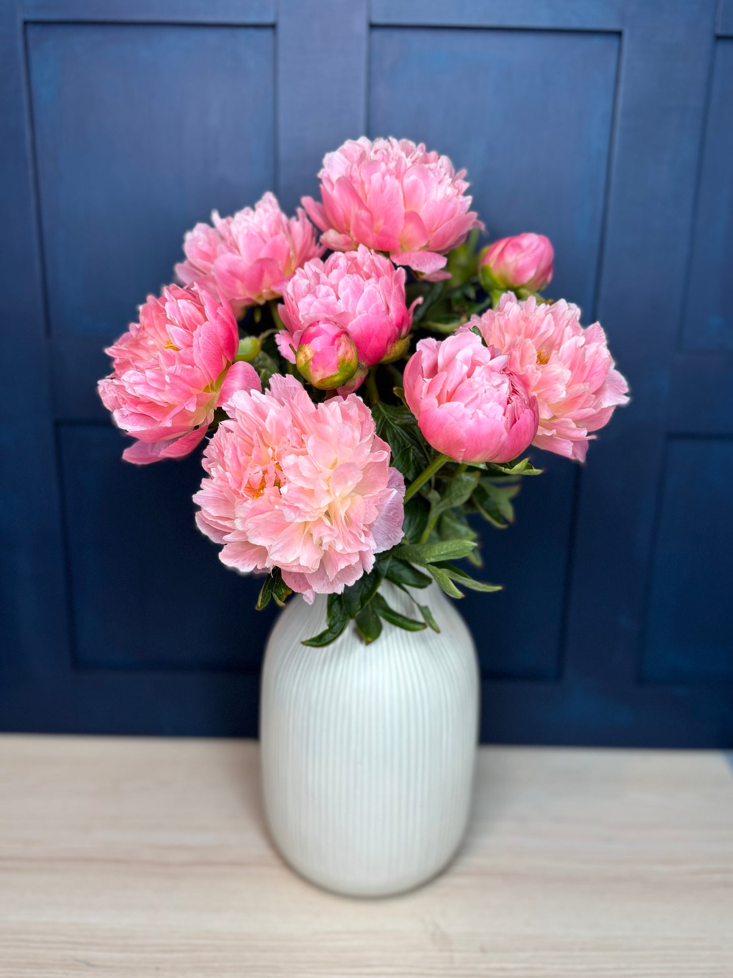 Classic Pink Peonies
