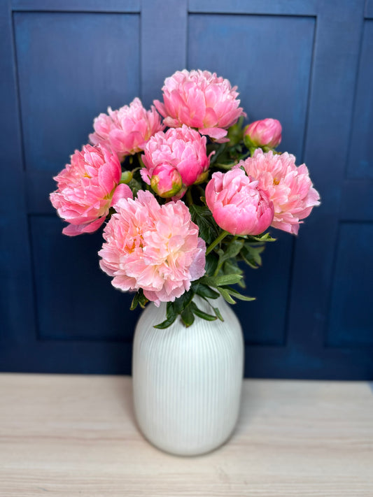 Classic Pink Peonies