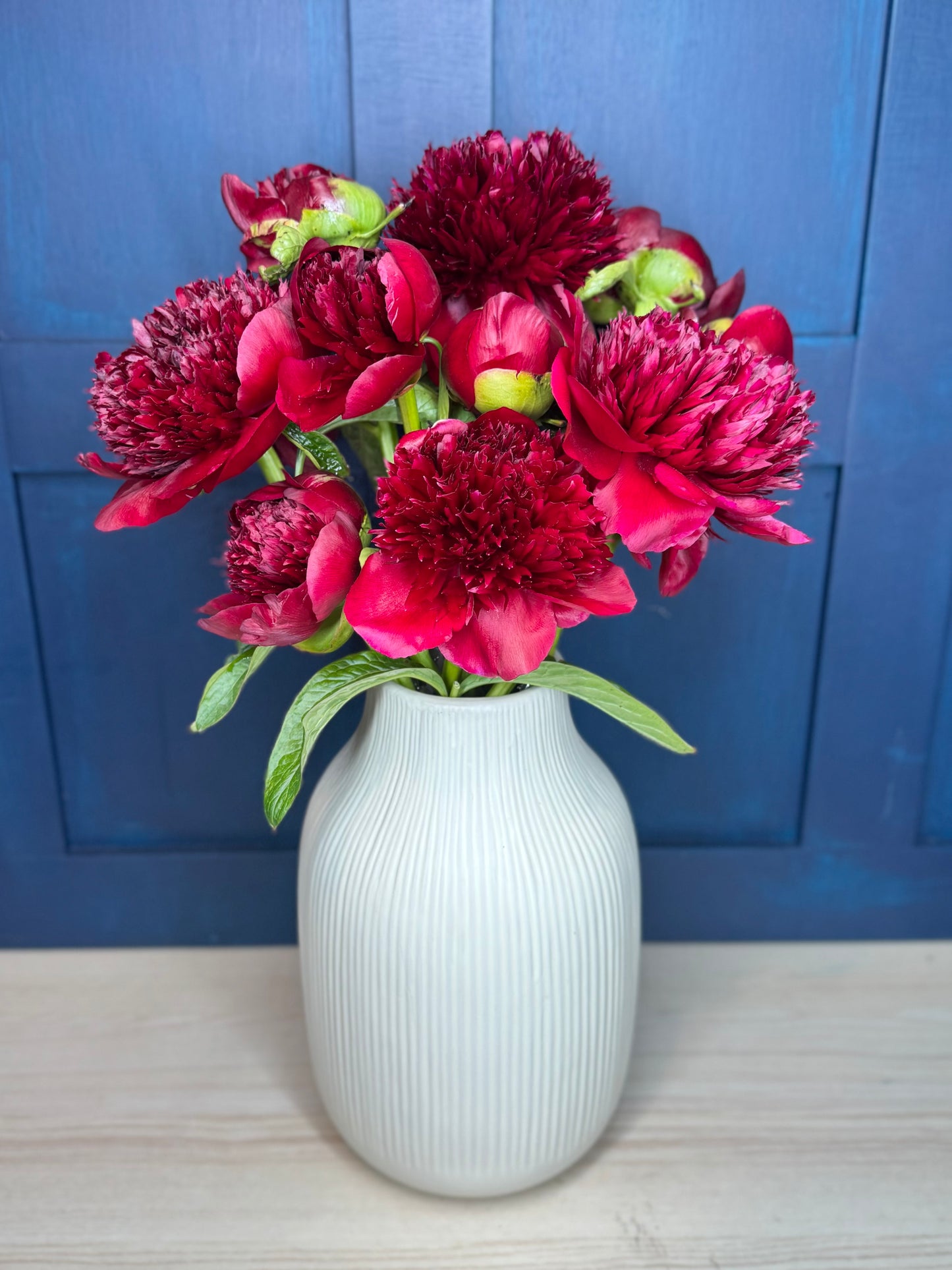 Crimson Red Peonies