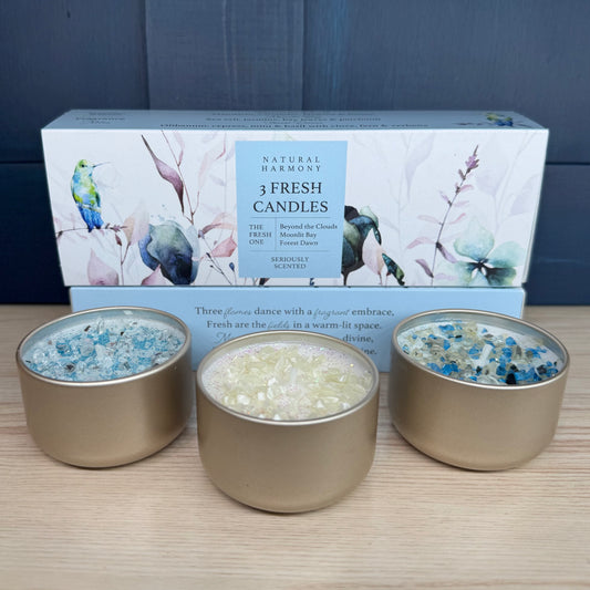 Fresh Collection Candles