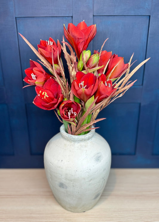 Red Amaryllis Christmas Bouquet