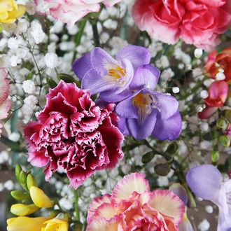 Mix_Carnations_and_Freesias_C.jpg