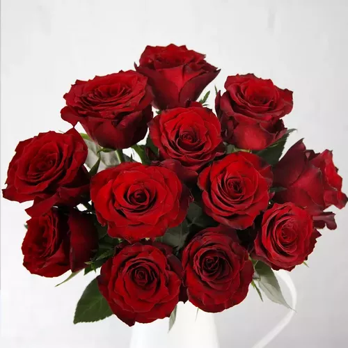 Red_Roses_T_1665427257_720.webp