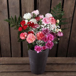 Spray_Carnations_C103.jpg