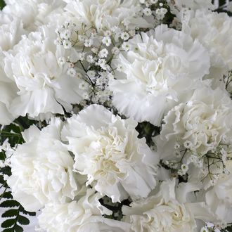 White_Carnations__1.jpg
