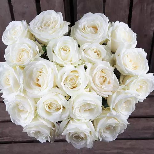 White_Roses_T_1665427637_720.webp