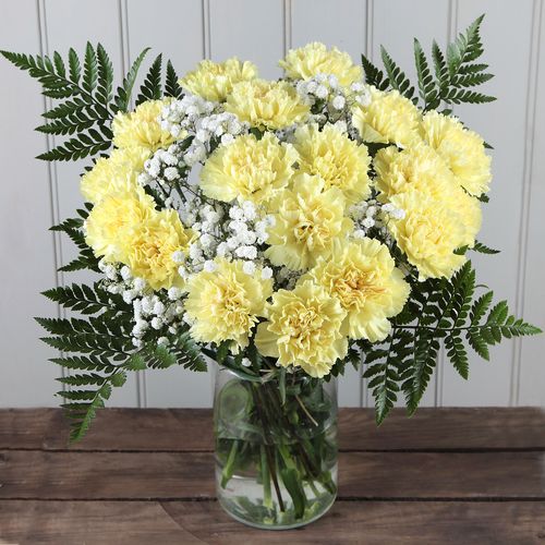 Yellow_Carnations_C055.jpg