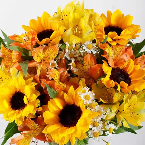 sunflowersT_copy_1689587787_720.webp