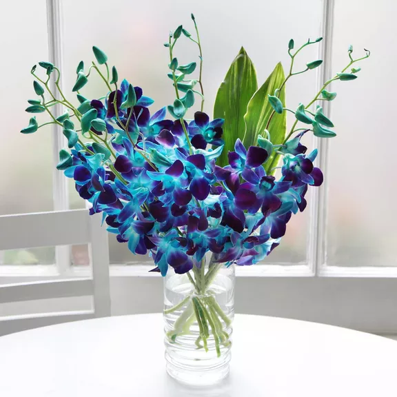 Electric Blue Orchids.jpg
