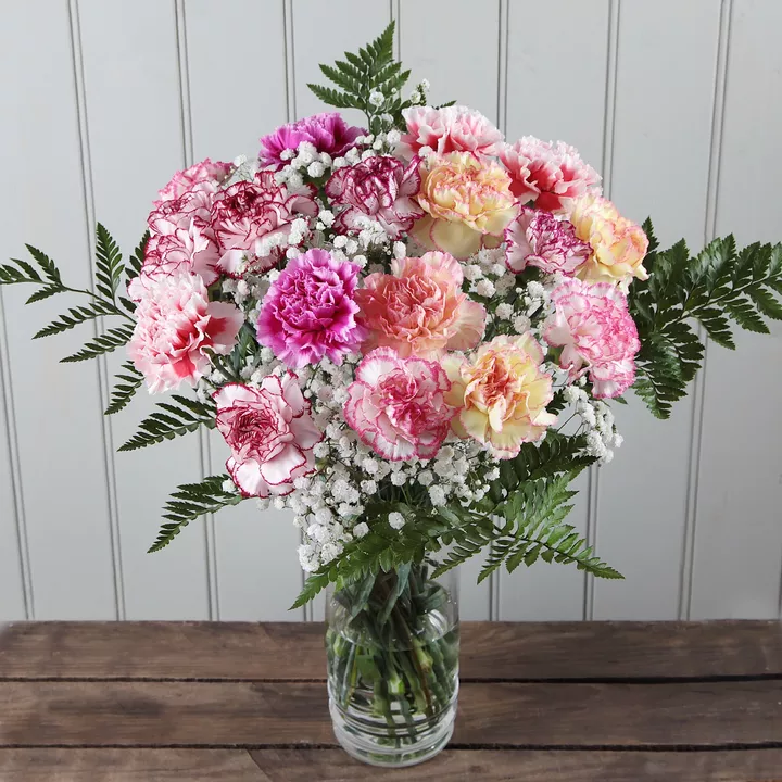 BI-Colour Carnations